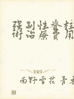 强制性脊柱炎手术治疗费用多少