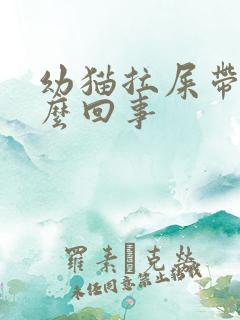 幼猫拉屎带血怎么回事