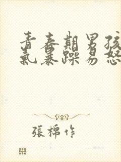 青春期男孩子脾气暴躁易怒怎么办