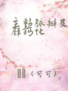 主动脉瓣及冠脉壁钙化