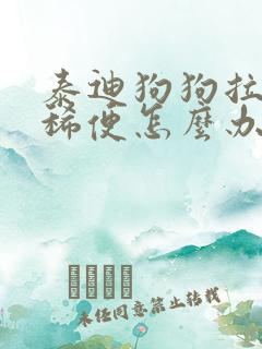 泰迪狗狗拉黑色稀便怎么办