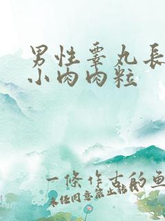 男性睾丸长了个小肉肉粒