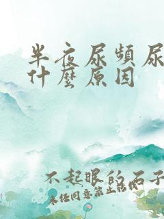 半夜尿频尿多是什么原因