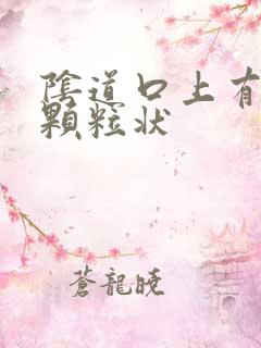 阴道口上有白色颗粒状