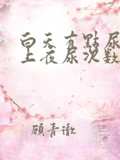 白天有点尿频晚上夜尿次数多