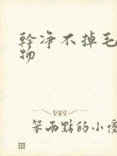 干净不掉毛的宠物