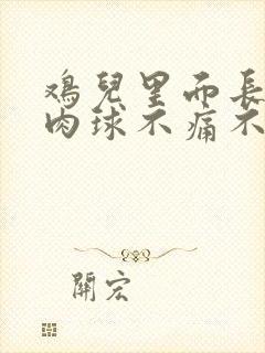 鸡儿里面长个小肉球不痛不痒