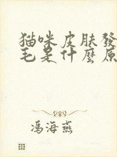 猫咪皮肤发红掉毛是什么原因