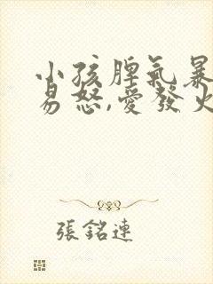 小孩脾气暴躁,易怒,爱发火