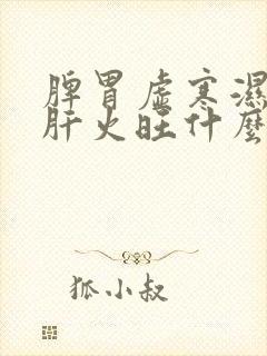 脾胃虚寒湿气重肝火旺什么症状