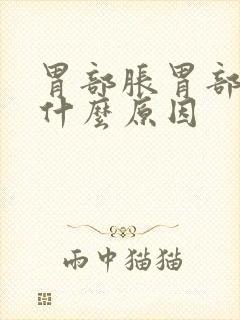 胃部胀胃部痛是什么原因