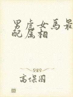 男虎女马最佳婚配属相