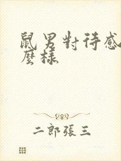 鼠男对待感情怎么样