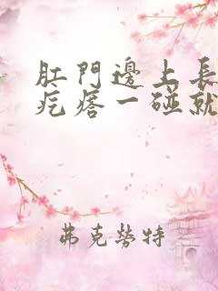 肛门边上长一个疙瘩一碰就疼