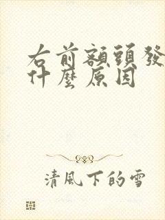 右前额头发白是什么原因