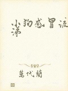 小狗感冒流黄鼻涕