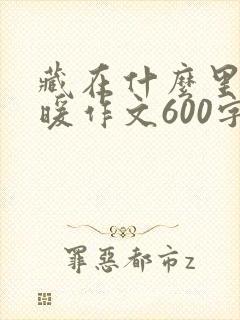 藏在什么里的温暖作文600字
