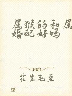 属猴的和属蛇的婚配好吗