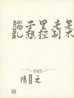 脑子里老是胡思乱想控制不住失眠