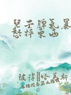 儿子脾气暴躁易怒摔东西