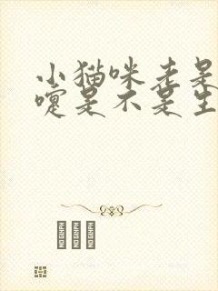 小猫咪老是打喷嚏是不是生病