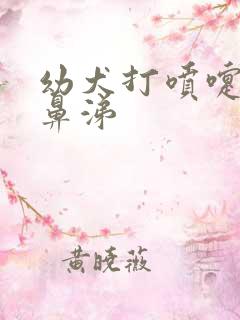 幼犬打喷嚏流清鼻涕