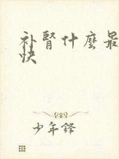 补肾什么最好最快