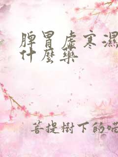 脾胃虚寒湿重吃什么药