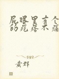 屁眼里有个硬硬的疙瘩不痛不痒