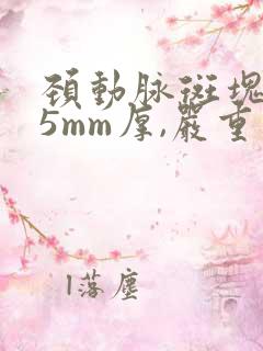 颈动脉斑块1.5mm厚,严重么