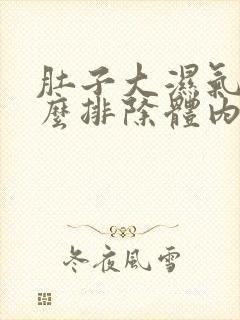 肚子大湿气重怎么排除体内湿气