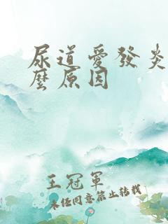 尿道爱发炎是什么原因