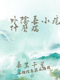 外阴长小疙瘩是什么病