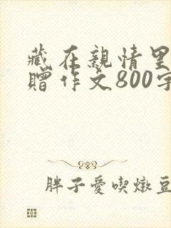 藏在亲情里的馈赠作文800字初中优秀作文