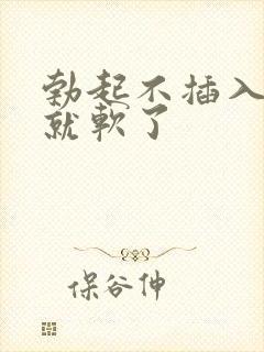 勃起不插入一会就软了