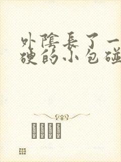 外阴长了一个硬硬的小包碰到就疼请问