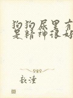 狗狗尿里有血但是精神很好