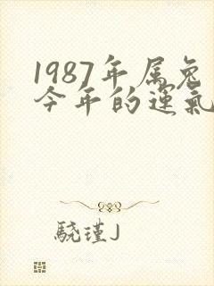 1987年属兔今年的运气怎么样
