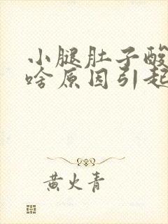 小腿肚子酸疼是啥原因引起的