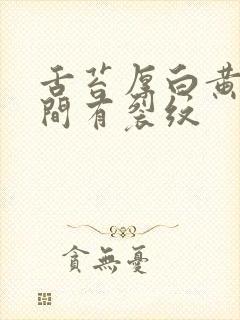 舌苔厚白黄腻中间有裂纹