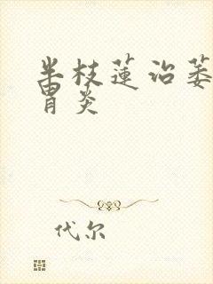 半枝莲治萎缩性胃炎