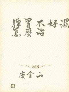 脾胃不好湿气大怎么治