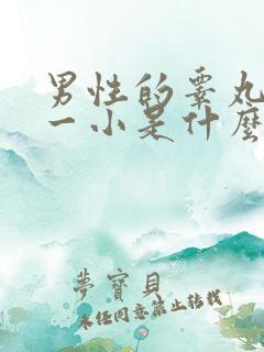 男性的睾丸一大一小是什么问题