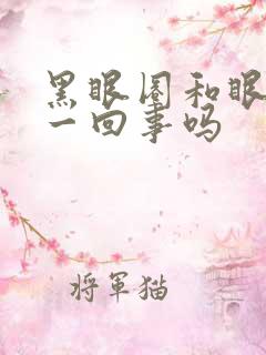 黑眼圈和眼袋是一回事吗