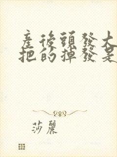 产后头发大把大把的掉发是怎么回事