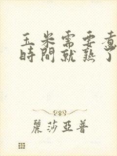 玉米需要煮多长时间就熟了