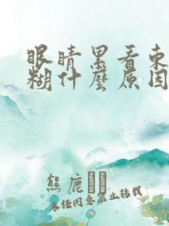 眼睛累看东西模糊什么原因