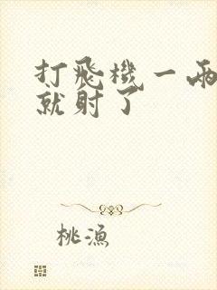 打飞机一两分钟就射了