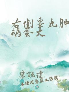 右侧睾丸肿大如鹅蛋大