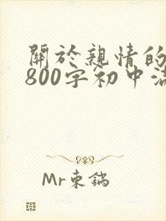 关于亲情的作文800字初中满分作文